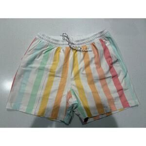 Abstract Pastel Striped Chubbies Swim Trunks L‎